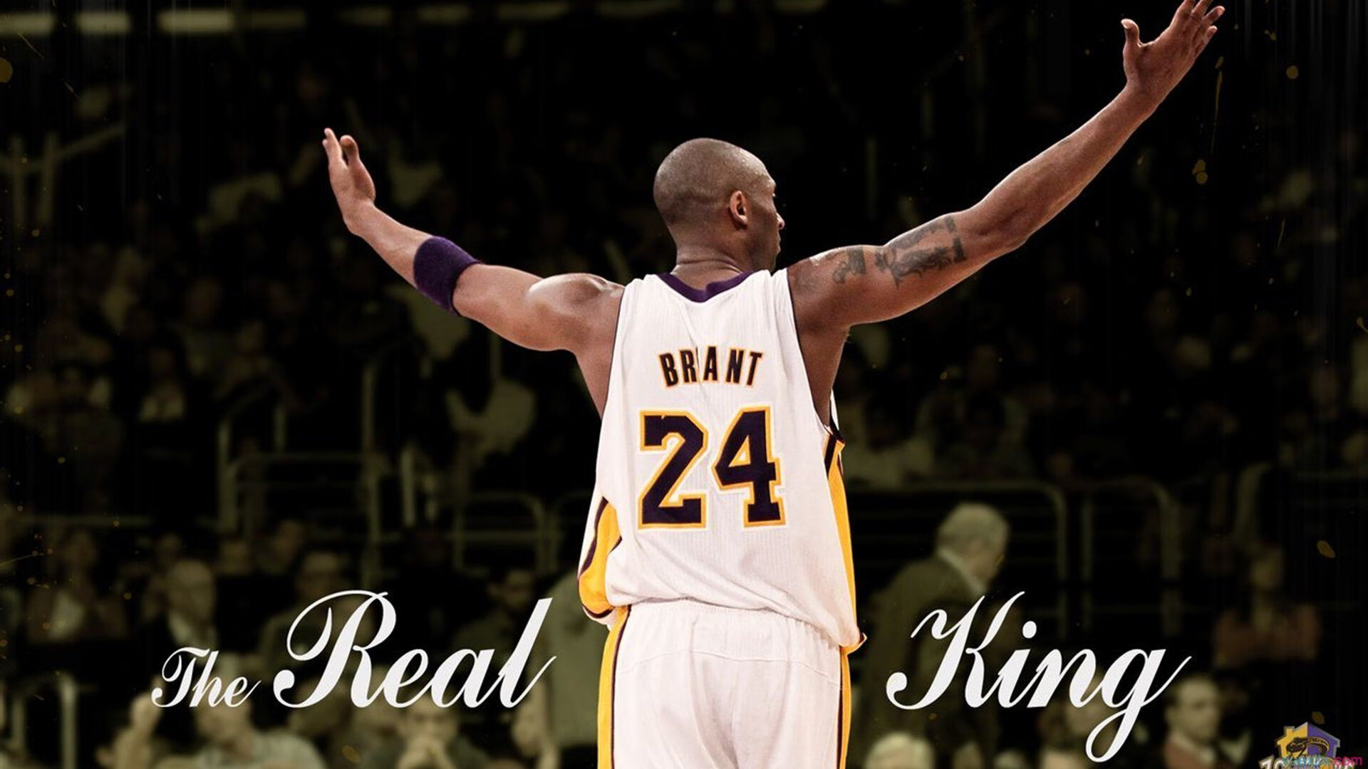 未来联盟：引入AI战术分析，比赛智能化再飞跃！，新未来联盟